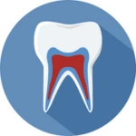 endodonticimg